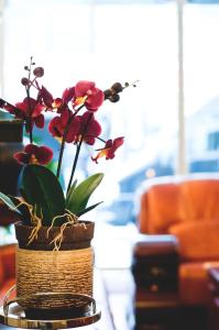 une plante dans un panier assis sur une table dans l'établissement Rugs Hotel Düsseldorf, à Düsseldorf