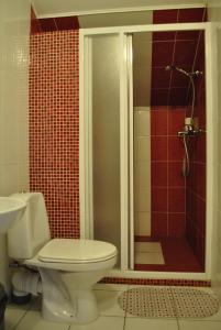 a bathroom with a toilet and a shower with red tiles at Nakhodka Inn in Mykolaiv