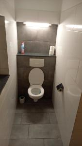 een kleine badkamer met een toilet in een stal bij De Maplerik in Oirlo