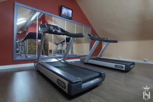 Fitness centrum a/nebo fitness zařízení v ubytování Hospedium Hotel Europa Centro