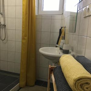 Kúpeľňa v ubytovaní Ubytování u Malinků + 29 fotografií