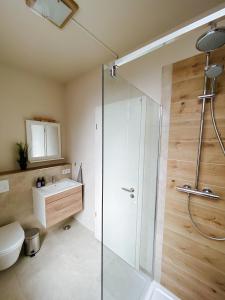 een badkamer met een douche, een toilet en een wastafel bij Apartment an der Altstadt (#8) in Hameln