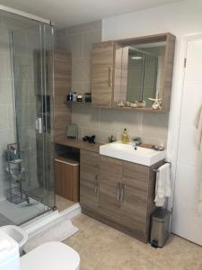 a bathroom with a sink and a shower at Jonan House in Deal