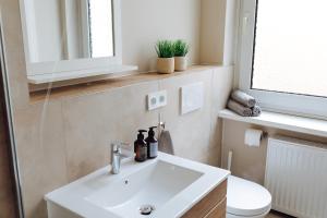 een badkamer met een wastafel, een toilet en een spiegel bij Apartment an der Altstadt (#6) in Hameln