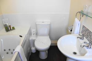 a bathroom with a white toilet and a sink at The Olive Branch in Ilfracombe