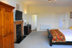 a bedroom with a bed with a tv and a fireplace at The Olive Branch in Ilfracombe