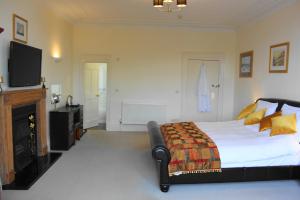a bedroom with a bed with a fireplace and a tv at The Olive Branch in Ilfracombe