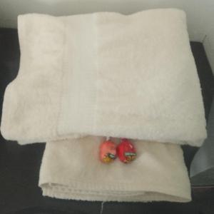 Afbeelding uit fotogalerij van Boel Boutique Hostal in Guayaquil