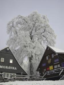 Chata Morávka Rejdice v zime