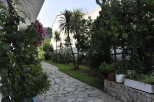 a garden with plants and trees and a stone path at Afroditi in Panormos Skopelos