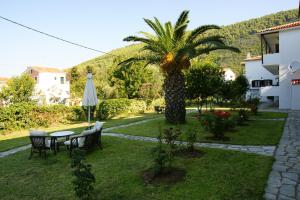 a palm tree with chairs and a table and an umbrella at Afroditi in Panormos Skopelos