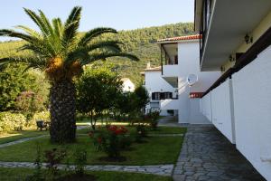 a palm tree in a yard next to a building at Afroditi in Panormos Skopelos