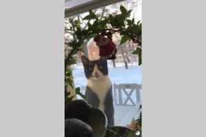 Galería fotográfica de Idyllisk nybyggd stuga på Sollerön. en Sollerön 19 fotos más