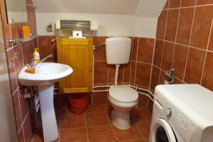 bagno con servizi igienici, lavandino e lavatrice di Spectacular LakeView House a Žabljak Altre 30 foto