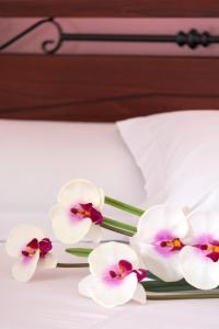 eine Gruppe von weißen Orchideen auf einem Bett in der Unterkunft Vila Aleka in Pori