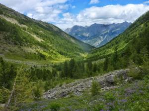 a view of a valley with trees and mountains at Skis aux pieds station 1600 Sun Vallée in Puy-Saint-Vincent