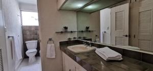 La salle de bains est pourvue d'un lavabo, de toilettes et d'un miroir. dans l'établissement Jardín Mérida, à Mérida