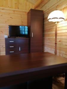TV a/nebo společenská místnost v ubytování Nad Drawskim DOMKI LETNISKOWE