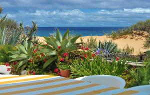 a beach with a table and some plants and the ocean at Theresia's in Porto Santo