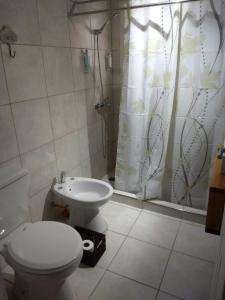 ein Bad mit einem WC, einer Dusche und einem Waschbecken in der Unterkunft Buenavida Guesthouse in Ushuaia
