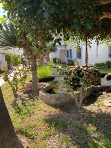 Zahrada ubytování Laguna Beach