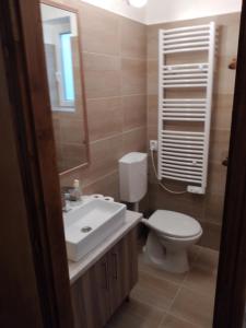 a bathroom with a toilet and a sink and a mirror at Bem Downtown Apartment in Debrecen