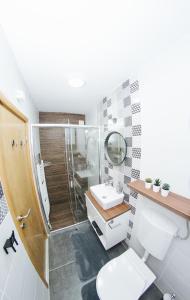 a bathroom with a shower and a toilet and a sink at Apartment Jana 2 in Sombor
