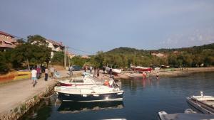 eine Gruppe von Booten wird in einem Fluss angedockt in der Unterkunft Holiday house near the see in Luka