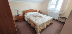 Gallery image of Casa de Vacanta Silvia in Mănăstirea Humorului +82 photos