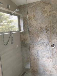 a shower with a glass door in a bathroom at Petes Place in Arthur's Pass