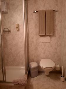 a bathroom with a toilet and a shower at Hotel Restaurant Waldrand , Isenfluh 