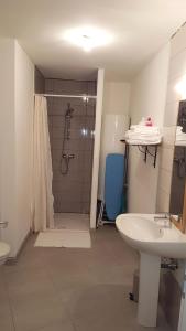 a bathroom with a shower and a sink at Amnéville centre touristique in Amnéville