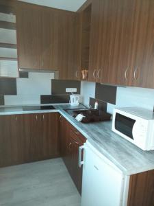 Dapur atau dapur kecil di Vinotéka "U Kozů"