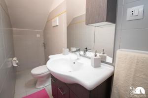 ein Badezimmer mit einem weißen Waschbecken und einem WC in der Unterkunft Appartamenti Caterina in Montinelle