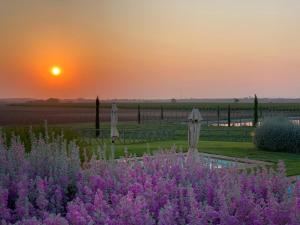The sunrise or sunset as seen from the country house or nearby