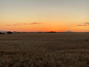 The sunrise or sunset as seen from the country house or nearby