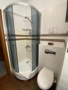 ein Bad mit einer Dusche, einem WC und einer Dusche in der Unterkunft Atlanta Sheremetyevo Hotel in Scheremetjewo