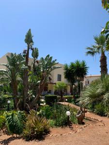 a garden with palm trees and a building at Coral sea in San Vito lo Capo