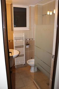 a bathroom with a toilet and a sink at Pensiune Venetia Mariaj in Mioveni