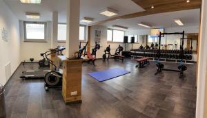 Fitness centrum a/nebo fitness zařízení v ubytování Hotel Sonne Lienz