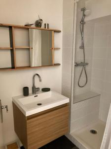 a bathroom with a sink and a shower at Magnifique duplex super cosy Vue mer 180 in Ploemeur