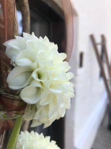 Ảnh trong thư viện ảnh của Veranstaltungszentrum Prühmühle mit Schlafplätzen ở Eggenfelden