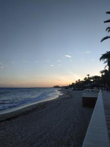 einen Strand mit Palmen und dem Meer bei Sonnenuntergang in der Unterkunft Mediterráneo lux in Aguadulce