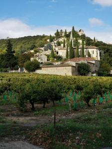 a bunch of trees in a field with a town at Gite des oliviers in La Roque-sur-Cèze +33 photos