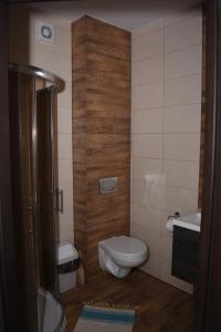 a small bathroom with a toilet and a sink at Pokoje Gościnne "MARIA" in Białogóra