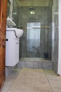 a bathroom with a shower with a sink and a shower at Die Dorpshuis in Calitzdorp