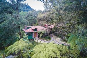 Santa Cruz Verapaz的住宿－Park Hotel，森林中房屋的空中景观