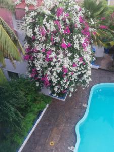 Imagen de la galería de Chiky Villa, en Watamu 66 fotos más