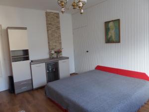 a bedroom with a bed and a small kitchen at Bori Apartmanok in Hajdúszoboszló