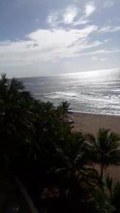 - une vue sur la plage bordée de palmiers et l'océan dans l'établissement Dre Broeders Apartments Juan Dolio, à Juan Dolio